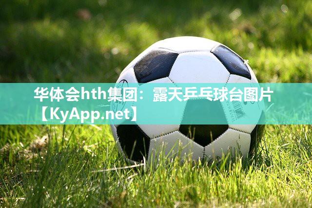 华体会hth集团：露天乒乓球台图片