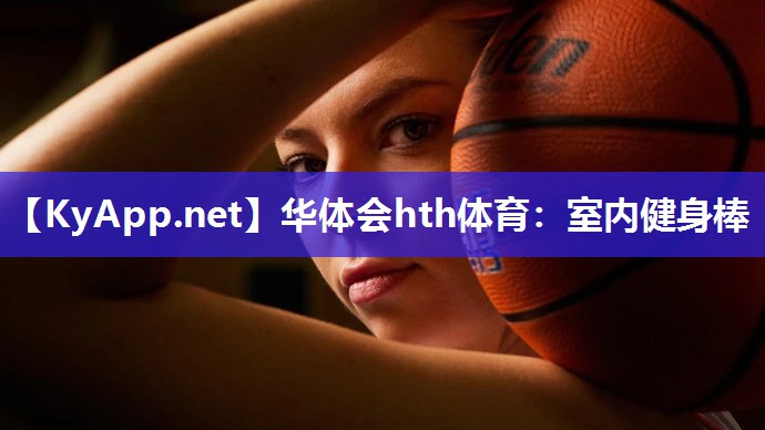室内健身棒