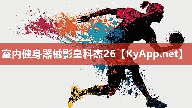 室内健身器械影皇科杰26