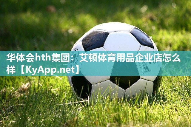 艾顿体育用品企业店怎么样