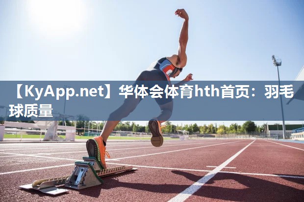 羽毛球质量